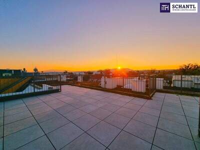 Terrassenwohnung kaufen in 1230 Wien (Bild 2)