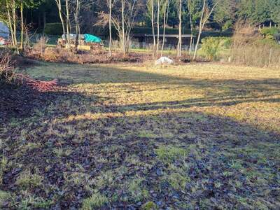 Grundstück kaufen in 4180 Saumstraß (Bild 5)