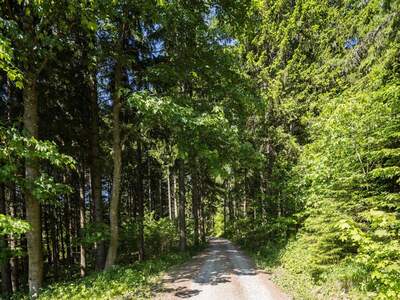 Gewerbeobjekt kaufen in 2651 Prein (Bild 3)