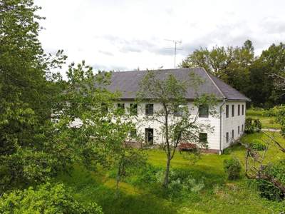 Haus kaufen in 4184 St. Stefan