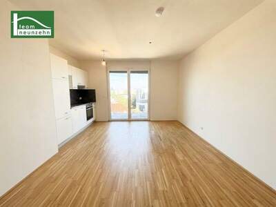 Terrassenwohnung mieten in 1110 Wien (Bild 1)