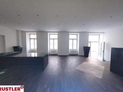 Gewerbeobjekt mieten in 1060 Wien (Bild 1)