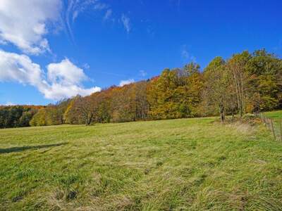 Grundstück kaufen in 3021 Pressbaum (Bild 4)
