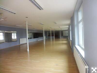 Gewerbeobjekt mieten in 7083 Purbach (Bild 2)