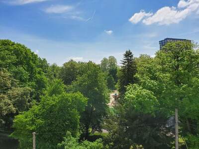 Gewerbeobjekt mieten in 4020 Linz (Bild 2)