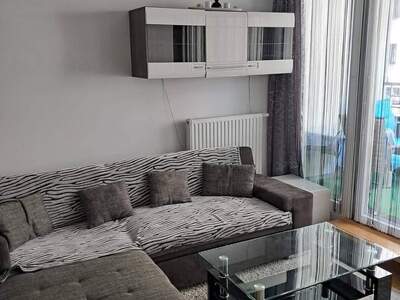 Apartment provisionsfrei mieten in 1100 Wien