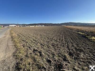 Gewerbeobjekt kaufen in 3380 Pöchlarn (Bild 4)