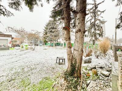 Grundstück kaufen in 1220 Wien (Bild 3)