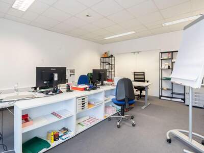 Gewerbeobjekt mieten in 4812 Wiesen (Bild 5)