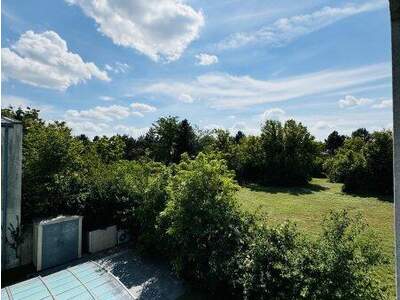 Haus kaufen in 1220 Wien (Bild 5)