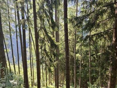 Anlageobjekt kaufen in 8614 Breitenau