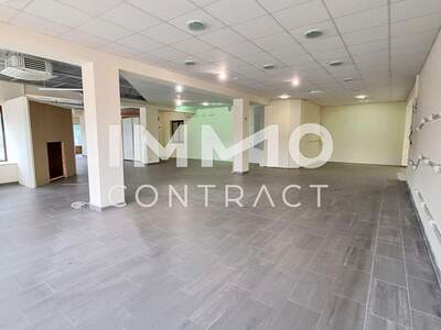 Gewerbeobjekt mieten in 3370 Ybbs (Bild 3)