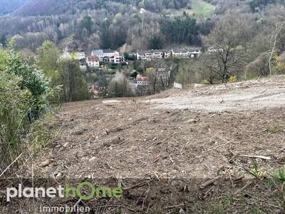 Grundstück kaufen in 2391 Kaltenleutgeben (Bild 1)