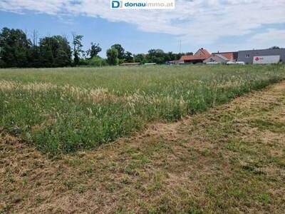 Grundstück kaufen in 2604 Theresienfeld