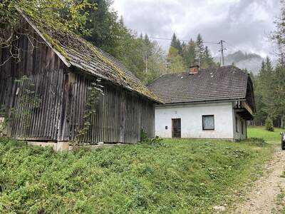 Gewerbeobjekt kaufen in 9135 Ebriach (Bild 1)