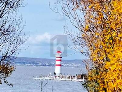 Grundstück kaufen in 7141 Podersdorf