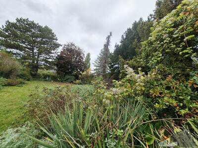 Grundstück kaufen in 2232 Deutsch (Bild 2)