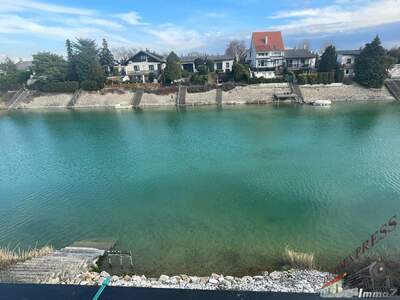 Einfamilienhaus kaufen in 2301 Groß (Bild 3)