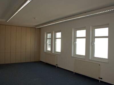 Gewerbeobjekt mieten in 2355 Wiener Neudorf (Bild 4)