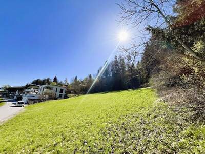 Grundstück kaufen in 6075 Tulfes (Bild 2)