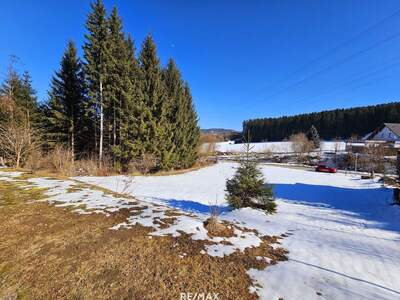 Grundstück kaufen in 8741 Weißkirchen