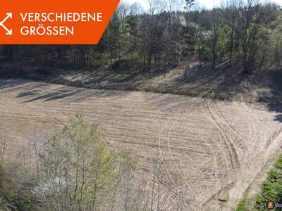 Grundstück kaufen in 7551 Stegersbach