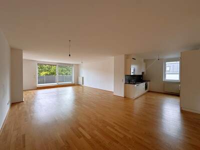 Terrassenwohnung mieten in 1190 Wien (Bild 3)