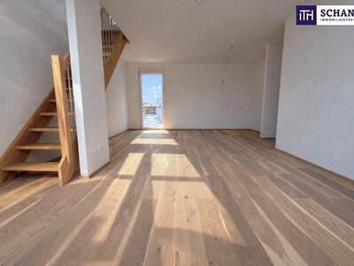 Terrassenwohnung kaufen in 2514 Traiskirchen (Bild 4)