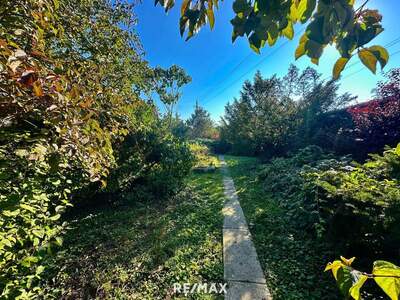 Haus kaufen in 2273 Hohenau