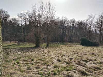 Grundstück kaufen in 4073 Wilhering (Bild 4)