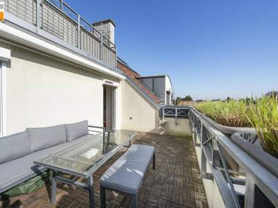 Wohnung kaufen in 2103 Langenzersdorf