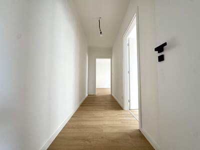 Einfamilienhaus mieten in 2273 Hohenau (Bild 4)