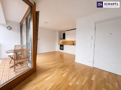 Terrassenwohnung mieten in 1230 Wien (Bild 3)