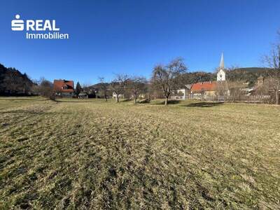 Grundstück kaufen in 9361 St. Salvator (Bild 3)