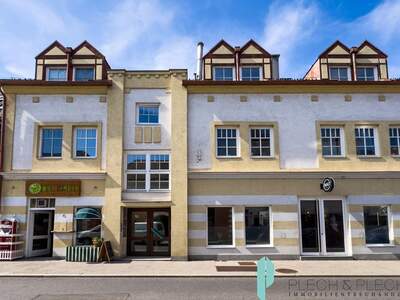 Immobilie mieten in 2340 Mödling (Bild 3)