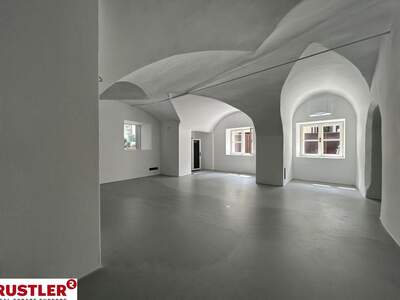 Gewerbeobjekt mieten in 5023 Salzburg (Bild 3)