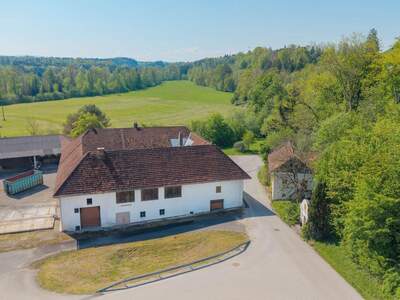Haus kaufen in 4643 Mitterndorf (Bild 2)