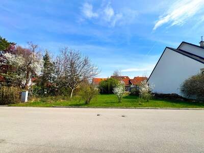 Grundstück kaufen in 2345 Brunn (Bild 3)