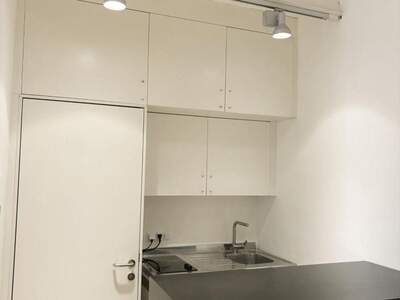 Gewerbeobjekt mieten in 1190 Wien (Bild 4)