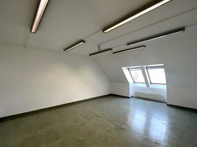 Gewerbeobjekt mieten in 1220 Wien (Bild 5)