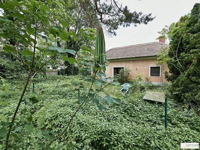 Grundstück kaufen in 1210 Wien