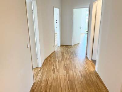 Apartment provisionsfrei mieten in 8020 Steiermark