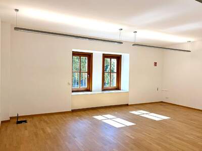 Gewerbeobjekt mieten in 1010 Wien (Bild 1)