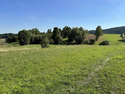 Grundstück kaufen in 3970 Weitra