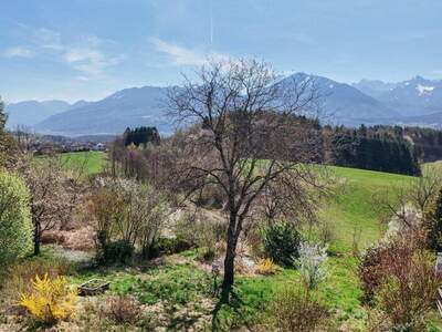 Grundstück kaufen in 9072 Ludmannsdorf (Bild 2)