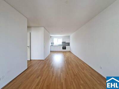 Terrassenwohnung mieten in 1020 Wien (Bild 1)