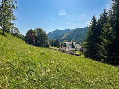 Grundstück kaufen in 8762 Oberzeiring