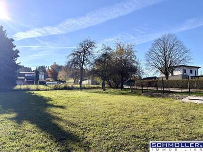 Office / Business kaufen in 4633 Oberösterreich