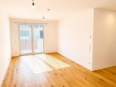 Terrassenwohnung mieten in 3100 St. Pölten (Bild 2)
