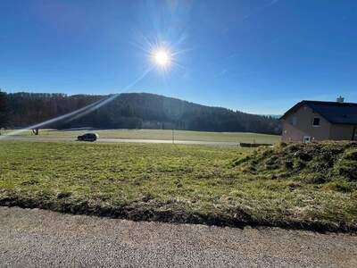 Grundstück kaufen in 8200 Albersdorf